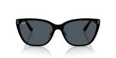Ray Ban RB3798D Sunglasses