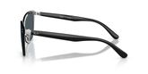 Ray Ban RB3798D Sunglasses