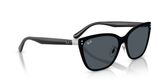 Ray Ban RB3798D Sunglasses