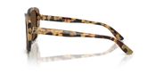 Dolce & Gabbana DG4569 Sunglasses