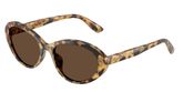Dolce & Gabbana DG4570 Sunglasses