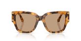 Dolce & Gabbana DG4563 Sunglasses