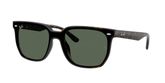 Ray Ban RB4466D Sunglasses
