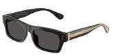 Dolce & Gabbana DG4560 Sunglasses