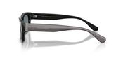 Dolce & Gabbana DG4560 Sunglasses