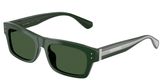 Dolce & Gabbana DG4560 Sunglasses