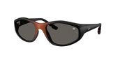 Ray Ban RB2228 Sunglasses
