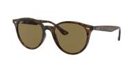 Ray Ban RB4305 Sunglasses