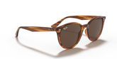 Ray Ban RB4305 Sunglasses