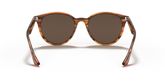 Ray Ban RB4305 Sunglasses