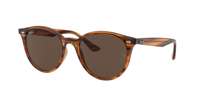 Ray Ban RB4305 Sunglasses