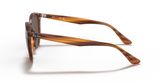 Ray Ban RB4305 Sunglasses