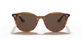 Ray Ban RB4305 Sunglasses
