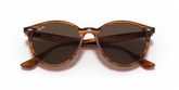 Ray Ban RB4305 Sunglasses