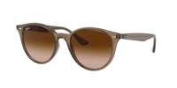 Ray Ban RB4305 Sunglasses
