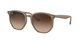 Ray Ban RB4306 Sunglasses
