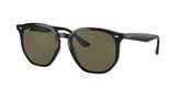 Ray Ban RB4306 Sunglasses