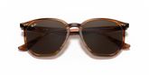 Ray Ban RB4306 Sunglasses