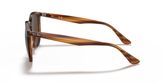 Ray Ban RB4306 Sunglasses