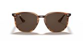 Ray Ban RB4306 Sunglasses