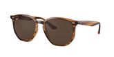 Ray Ban RB4306 Sunglasses