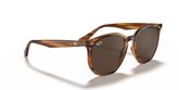 Ray Ban RB4306 Sunglasses
