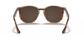 Ray Ban RB4306 Sunglasses
