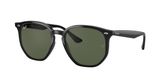 Ray Ban RB4306 Sunglasses
