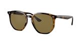 Ray Ban RB4306 Sunglasses
