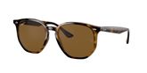 Ray Ban RB4306 Sunglasses