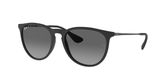 Ray Ban RB4171 ERIKA Sunglasses