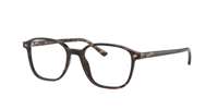 Ray Ban RX5393 LEONARD Eyeglasses
