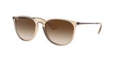 Ray Ban RB4171 ERIKA Sunglasses