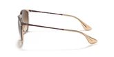 Ray Ban RB4171 ERIKA Sunglasses