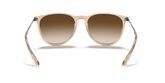 Ray Ban RB4171 ERIKA Sunglasses