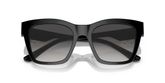 Dolce & Gabbana DG4384 Sunglasses