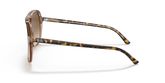Ray Ban RB2198 BILL Sunglasses