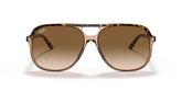Ray Ban RB2198 BILL Sunglasses