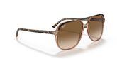 Ray Ban RB2198 BILL Sunglasses