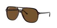 Ray Ban RB2198 BILL Sunglasses