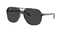 Ray Ban RB2198 BILL Sunglasses