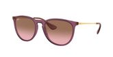 Ray Ban RB4171 ERIKA Sunglasses
