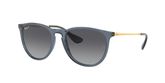 Ray Ban RB4171 ERIKA Sunglasses
