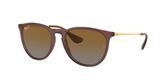 Ray Ban RB4171 ERIKA Sunglasses