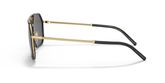 Dolce & Gabbana DG2285 Sunglasses