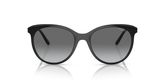 Vogue VO5453S Sunglasses