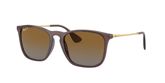 Ray Ban RB4187 CHRIS Sunglasses