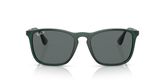 Ray Ban RB4187 CHRIS Sunglasses