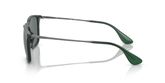 Ray Ban RB4187 CHRIS Sunglasses