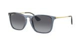 Ray Ban RB4187F CHRIS Sunglasses